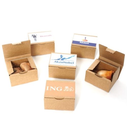 Boîte avec bulbe à fleurs - image 1